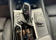 BMW 530 e HIBRIDO PLUG-IN